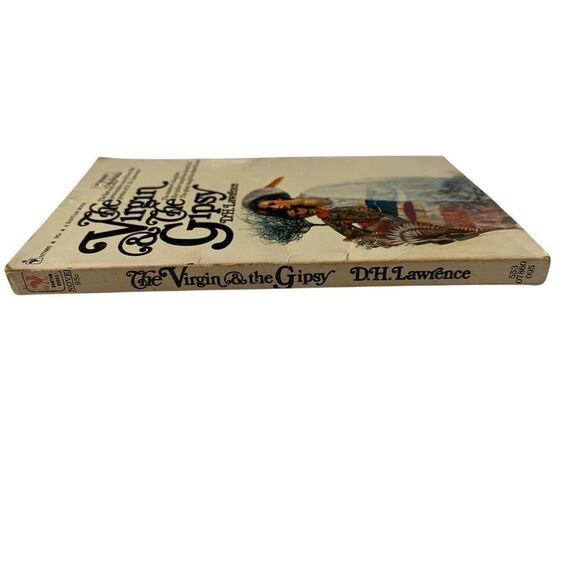 The Virgin And The Gipsy Paperback Book DH Lawrence Novel - Picture 4 of 12